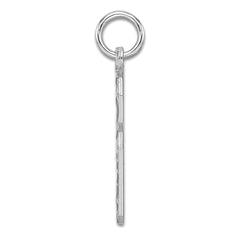Sterling Silver Rhodium-plated Large Diamond-cut #6 Charm QLN06