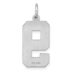 Sterling Silver Rhodium-plated Large Diamond-cut #9 Charm QLN09
