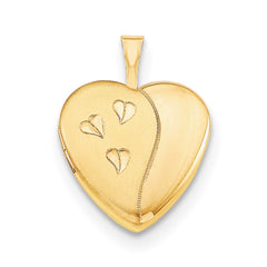 1/20 Gold Filled 16mm Satin and Polished Heart Locket Necklace QLS291-18