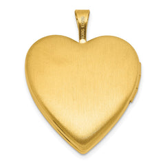 Sterling Silver Gold-plated Polished Front/Brushed Back Pink Rose Resin Cameo 20mm Heart Locket QLS781GP