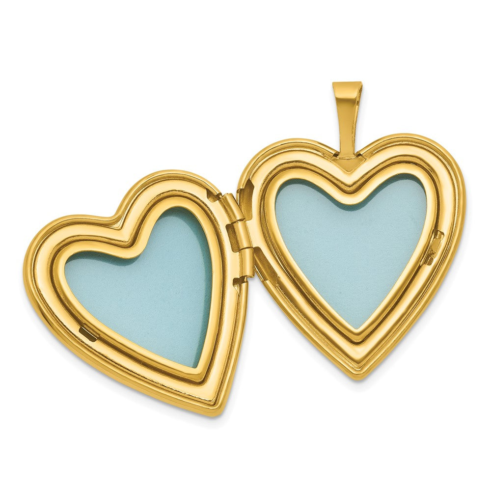 Sterling Silver Gold-plated Polished Front/Brushed Back Pink Rose Resin Cameo 20mm Heart Locket QLS781GP