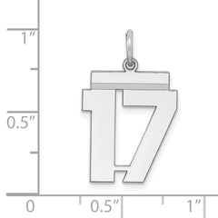 Sterling/Silver Rhodium-plated Polished Number 17 Charm QMS17