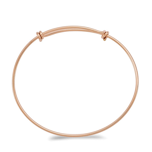 Rose Gold Filled 1.65mm Expandable Bangle RGF5042