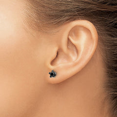 SRE1125 Chisel Stainless Steel Polished 6mm Black Star CZ Stud Post Earrings