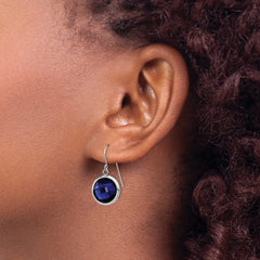 SRE1365 Chisel Stainless Steel Polished with Blue Glass Dangle Shepherd Hook Earrings