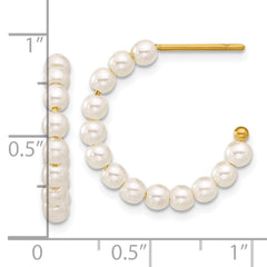 SRE1661 Chisel Stainless Steel Polished Yellow IP-plated White Mother of Pearl J-Hoop Earrings