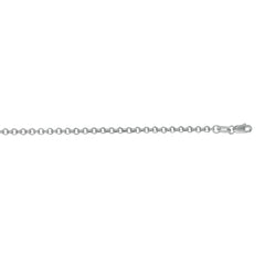 White Gold Polished Lite Rolo Necklace