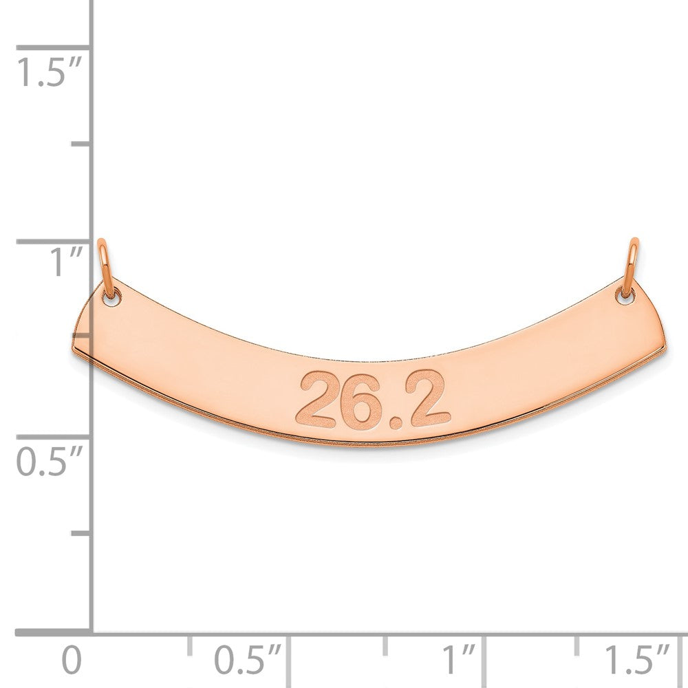 SS/Rose-plated Medium ARIAL ROUNDED Curved Bar Necklace XNA1239RP