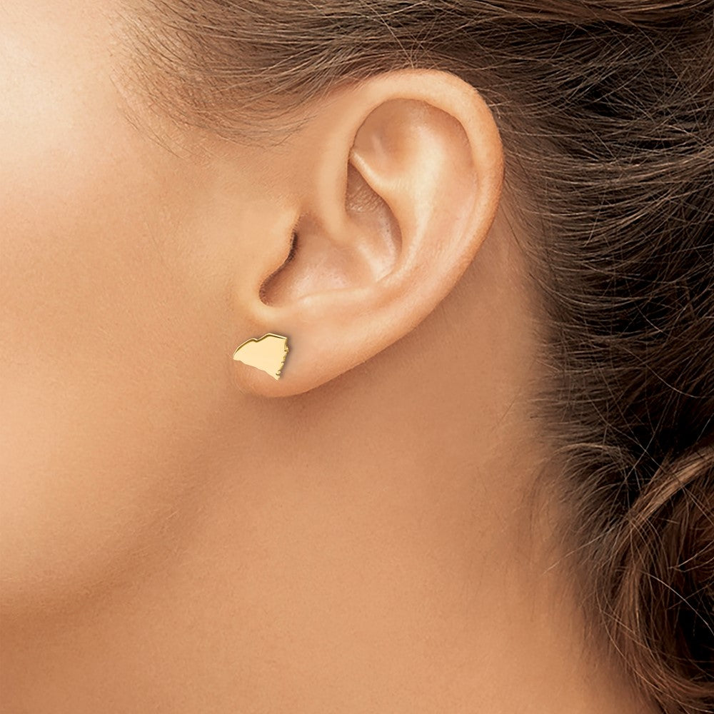 XNE50GP-SC Sterling Silver/Gold-plated South Carolina State Earrings