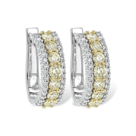 Parkplace Jewelers 14KT Gold Earrings A225-48551
